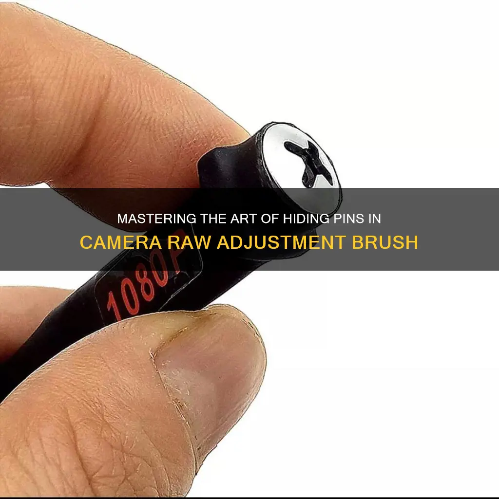 how to hide pins in camera raw adjustment brush