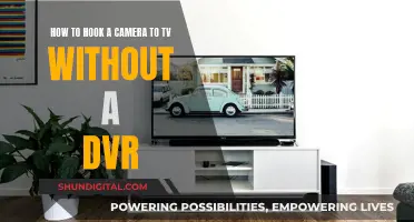 Hooking up a Camera to TV: No DVR Needed