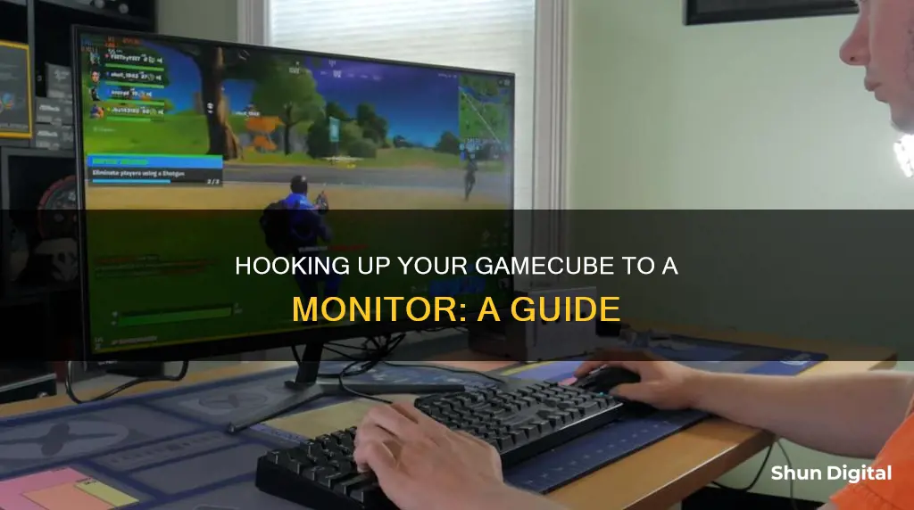 how to hook a gamecube up to a monitor