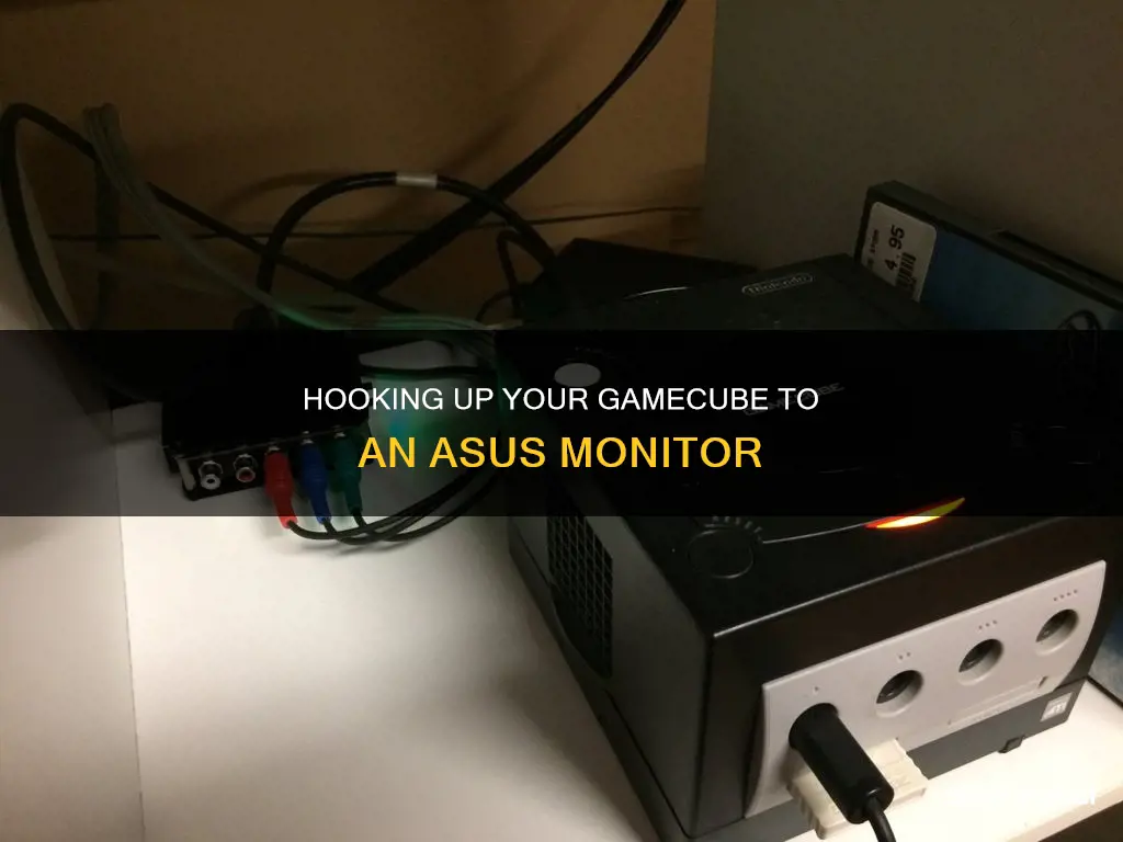 how to hook a gamecube up to an asus monitor