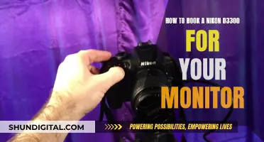 Connecting Your Nikon D3300 to a Monitor