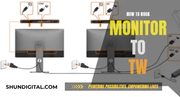 Easy Guide: Connecting Your Monitor to TW