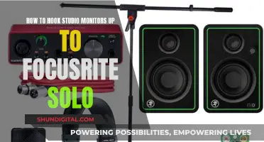 Hooking Studio Monitors to Focusrite Solo: A Quick Guide