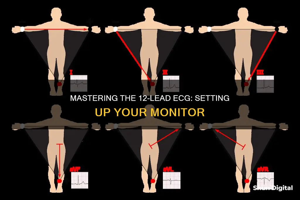 how to hook up a 12 lead monitor