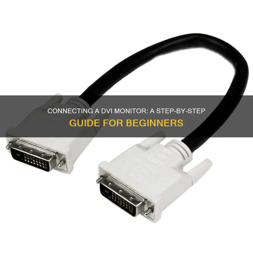 how to hook up a dvi monitor