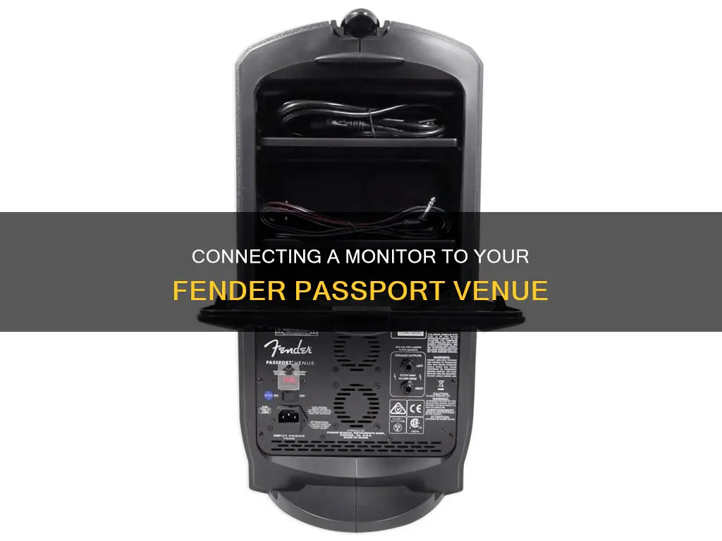 how to hook up a monitor to fender passport venue