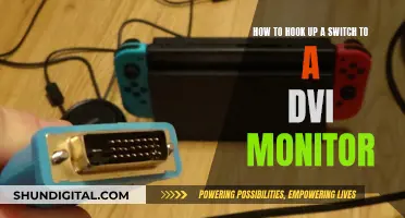 Connecting a Switch to a DVI Monitor: Easy Steps