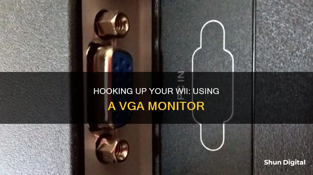 how to hook up a wii to a vga monitor