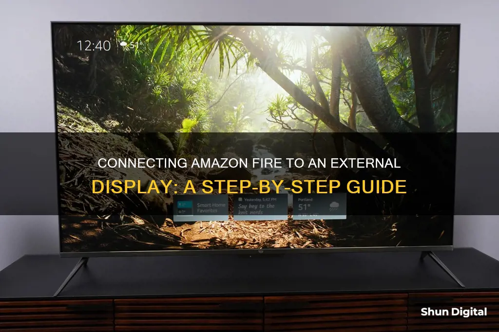 how to hook up amazon fire to an external monitor