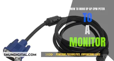 Connecting Your AP CPM Peter: Monitor Setup Guide