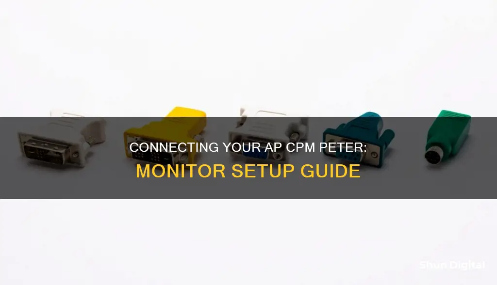 how to hook up ap cpm peter to a monitor