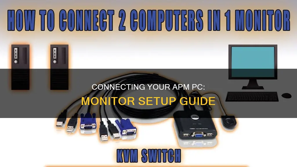 how to hook up ap cpm pyter to a monitor