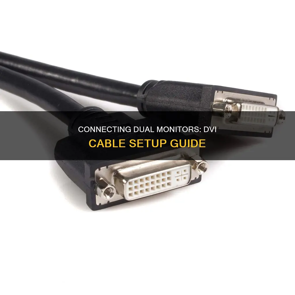 how to hook up dvi cable to double monitors