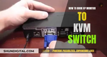 Connecting a Monitor to a KVM Switch: A Simple Guide