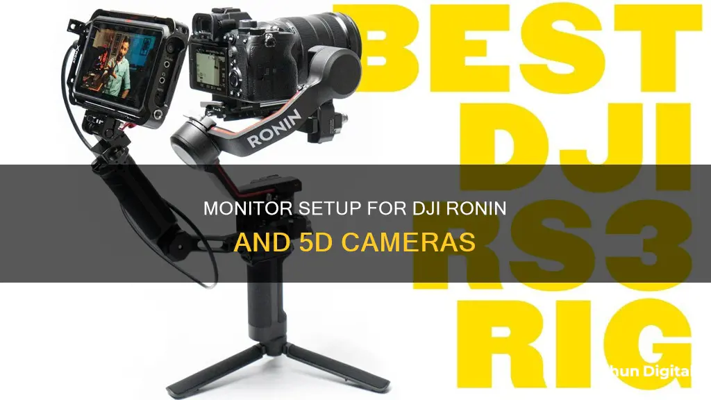 how to hook up monitor with dji ronins and 5d