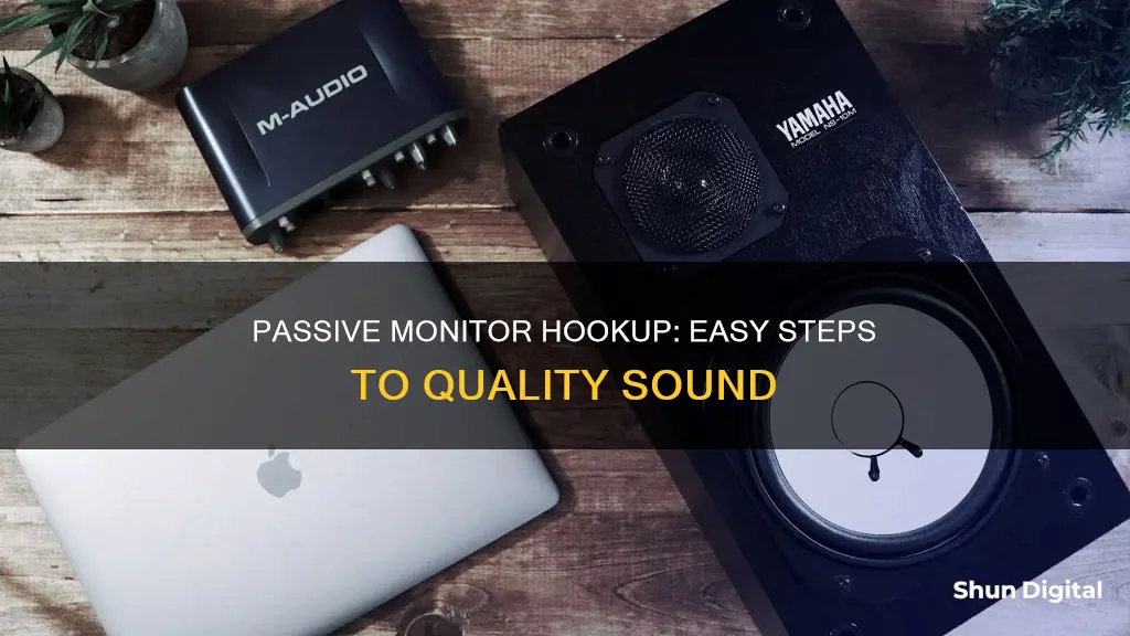 how to hook up passive monitors