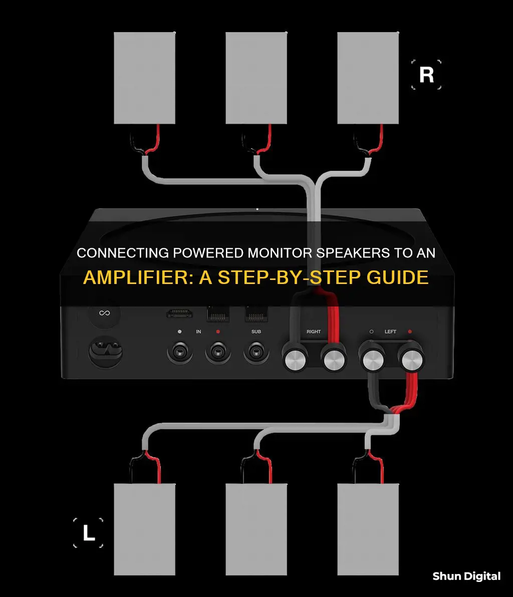 how to hook up powered monitor speakers to an amplifier