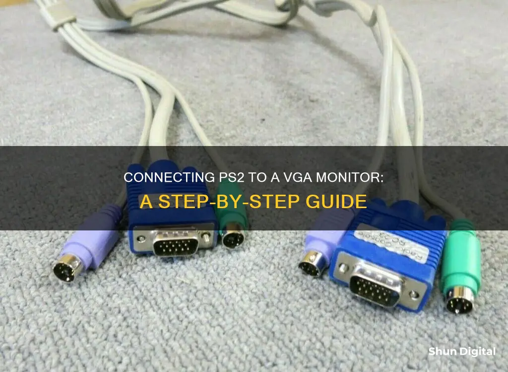 how to hook up ps2 to vga monitor