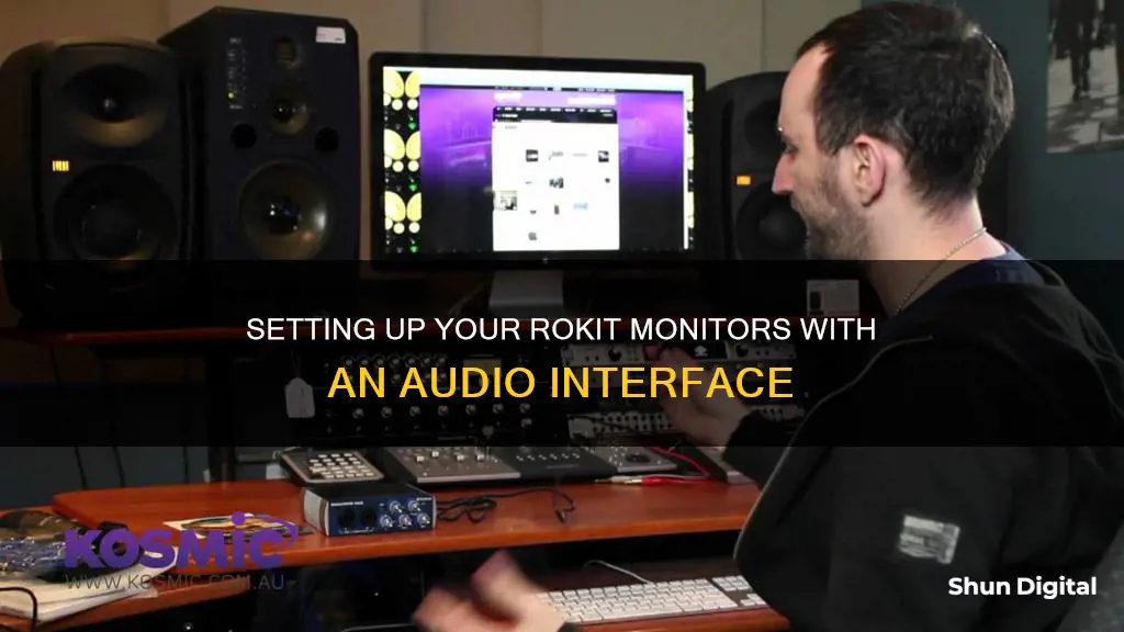 how to hook up rokit monitors to interface