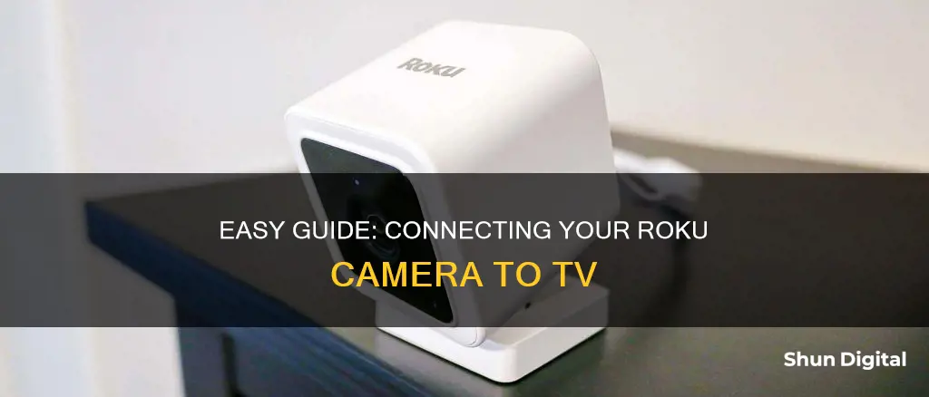 how to hook up roku camera to tv