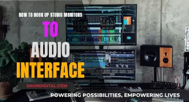 Setting Up Studio Monitors with an Audio Interface: A Beginner's Guide