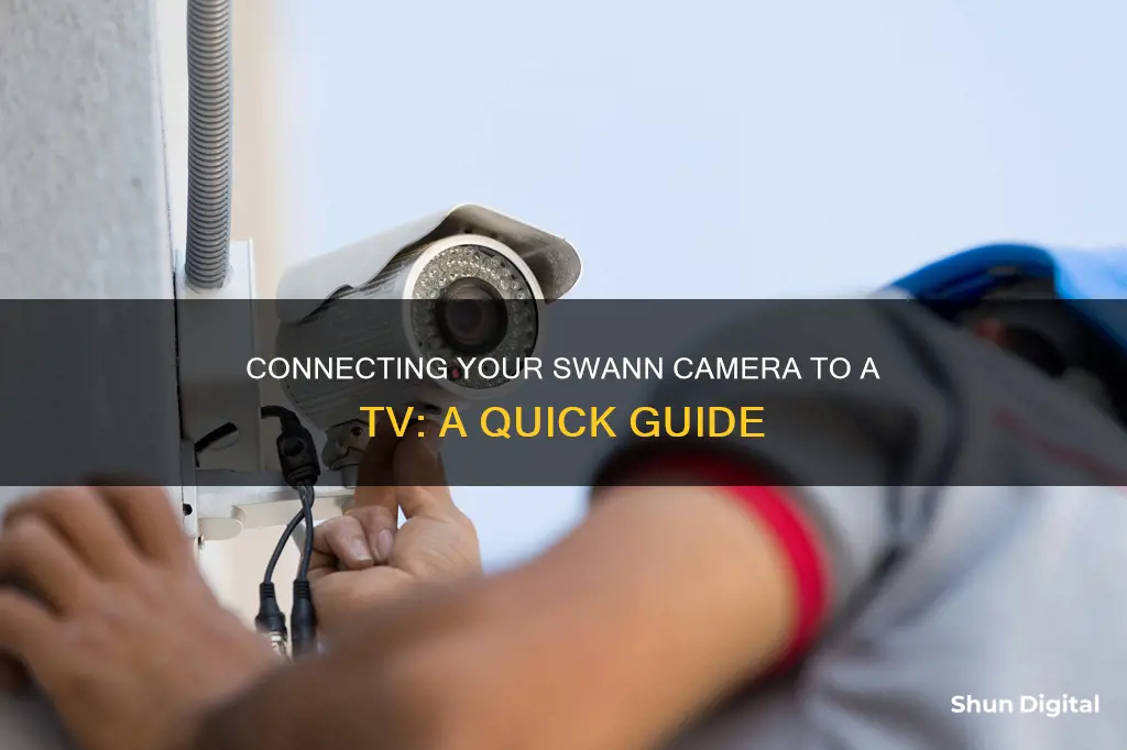 how to hook up swann camera to tv