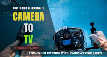 Underwater Camera to TV: Easy Setup Guide