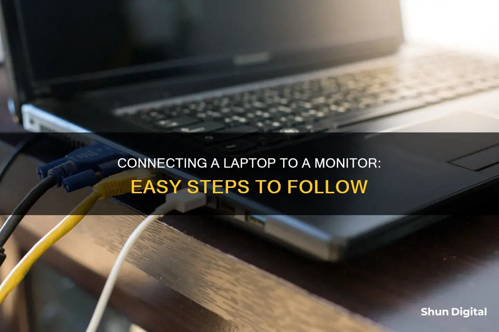 how to i hook my laptpo to my monitor