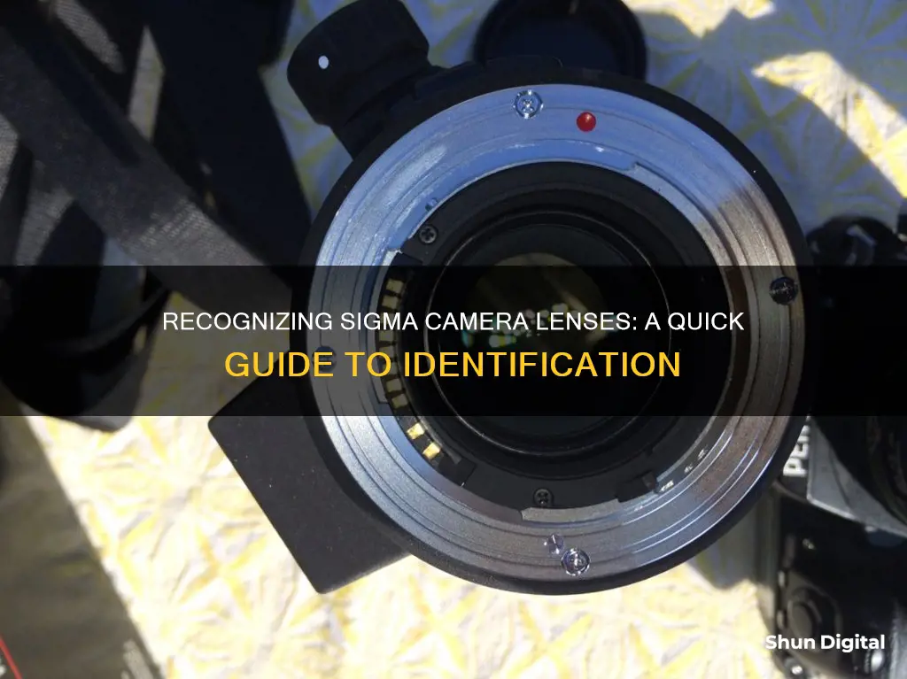 how to identify sigma camera lenses