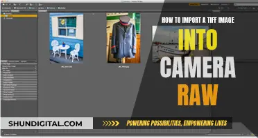 Importing TIFFs: Camera Raw's Power