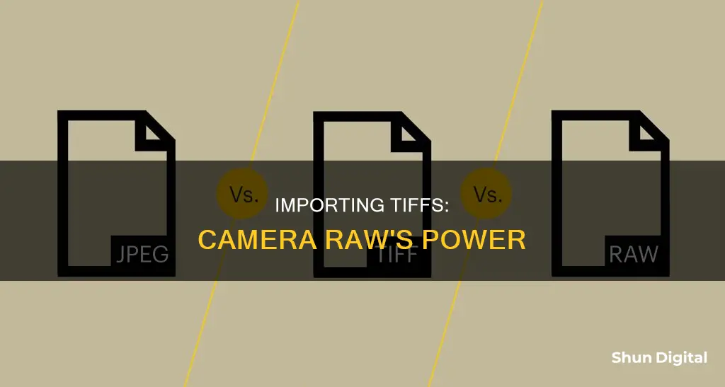 how to import a tiff image into camera raw