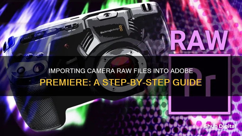 how to import camera raw in adobe premiere