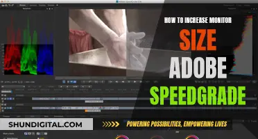 Expanding Your View: Increasing Monitor Size in Adobe SpeedGrade