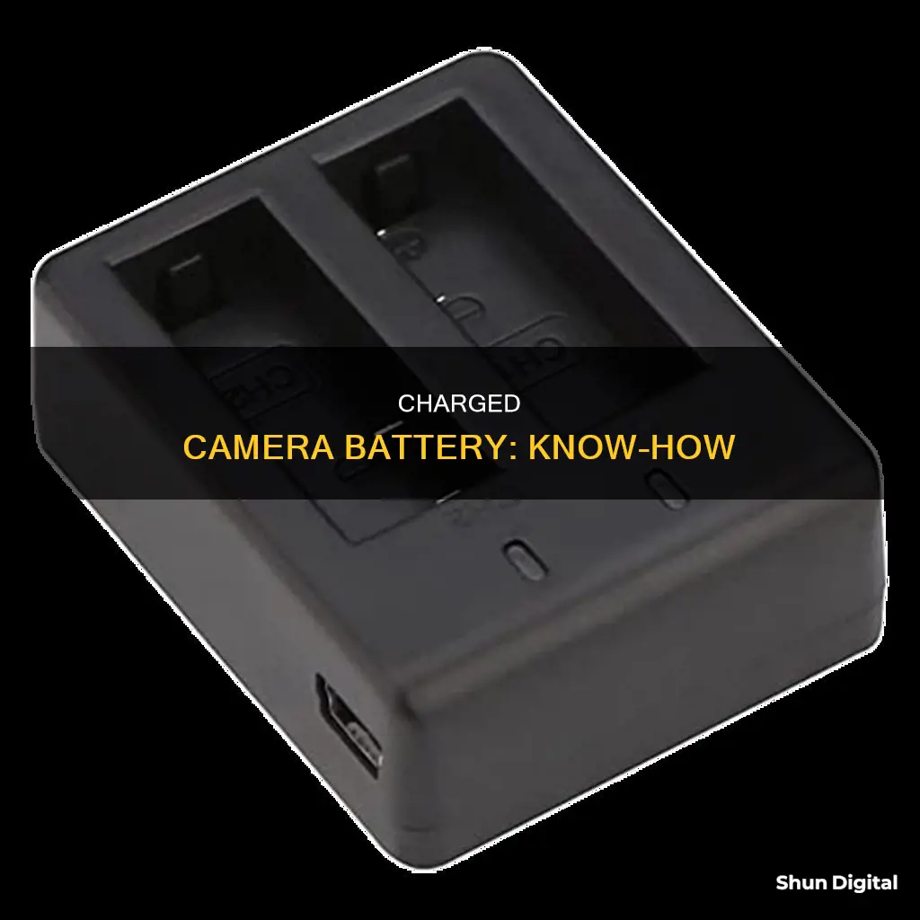 how to indicate that a camera battery is charged