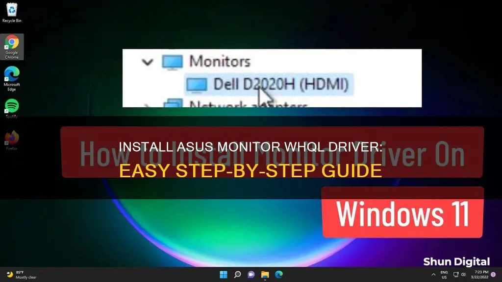 how to install asus monitor whql driver