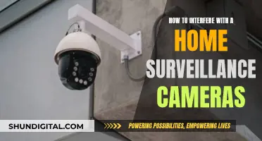 Disabling Home Surveillance: Tips to Interfere with Cameras