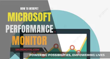 Performance Monitor: Interpreting Microsoft's Data for Better Insights