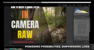 Inverting Radial Filters in Camera Raw: A Step-by-Step Guide