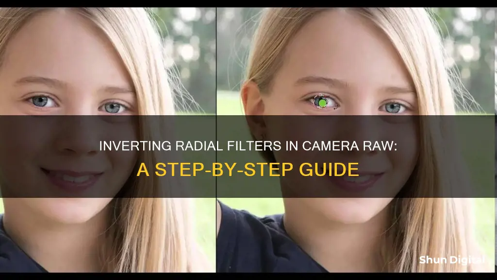 how to invert a radial filter in camera raw