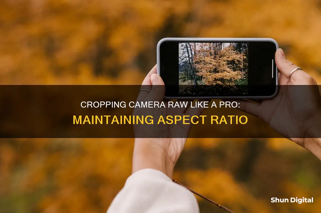 how to keep aspect radio while cropping camera raw