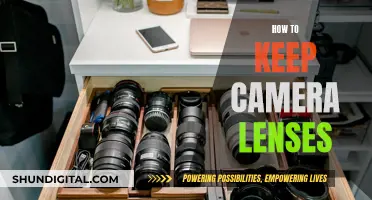 Keeping Camera Lenses: Tips for Longevity and Performance