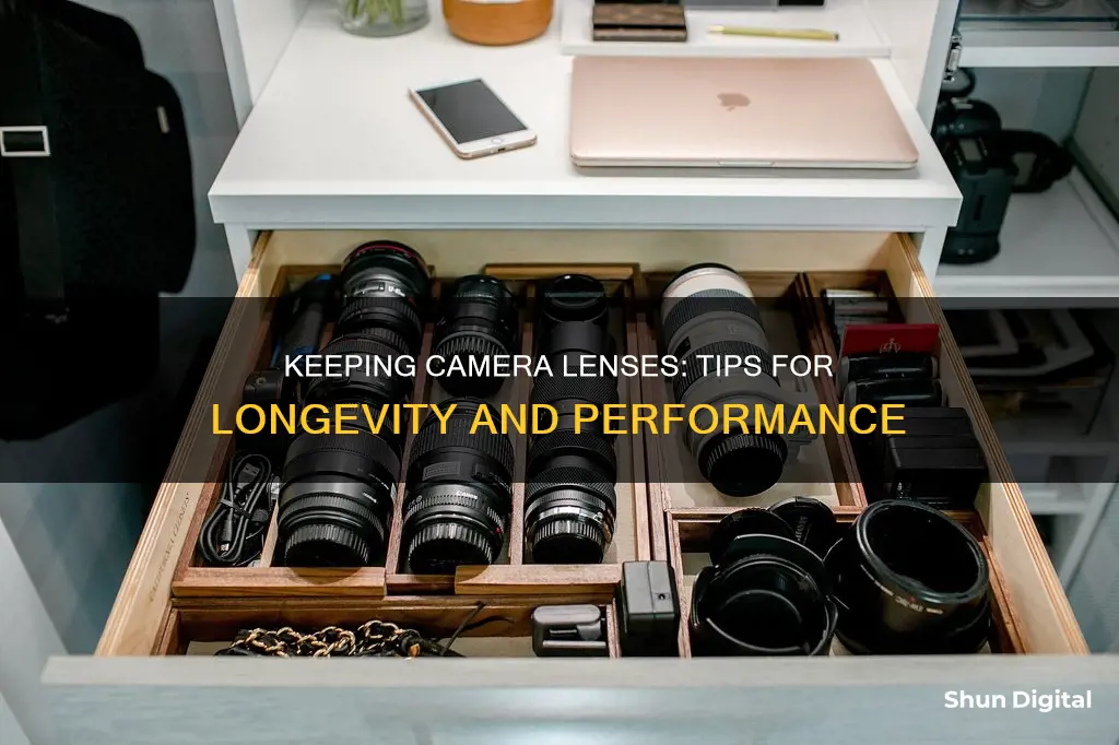 how to keep camera lenses