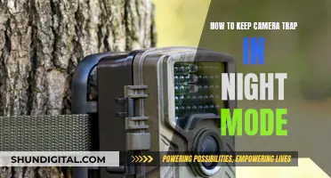 Night Mode Camera Traps: Keeping Sensors Alert After Dark