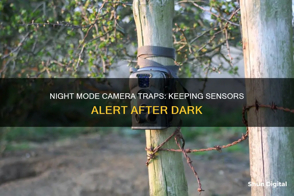 how to keep camera trap in night mode