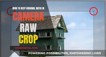 Maintain Original Ratios in Camera Raw: A Simple Guide