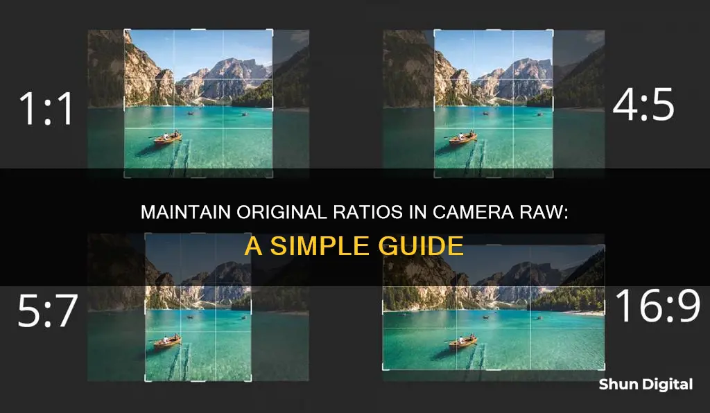 how to keep original ratio in camera raw crop