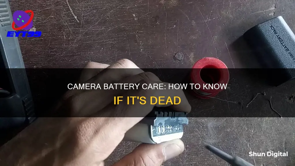 how to know if camera battery is dead