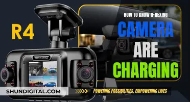 Rexing Camera Charging: How to Know When They're Charged