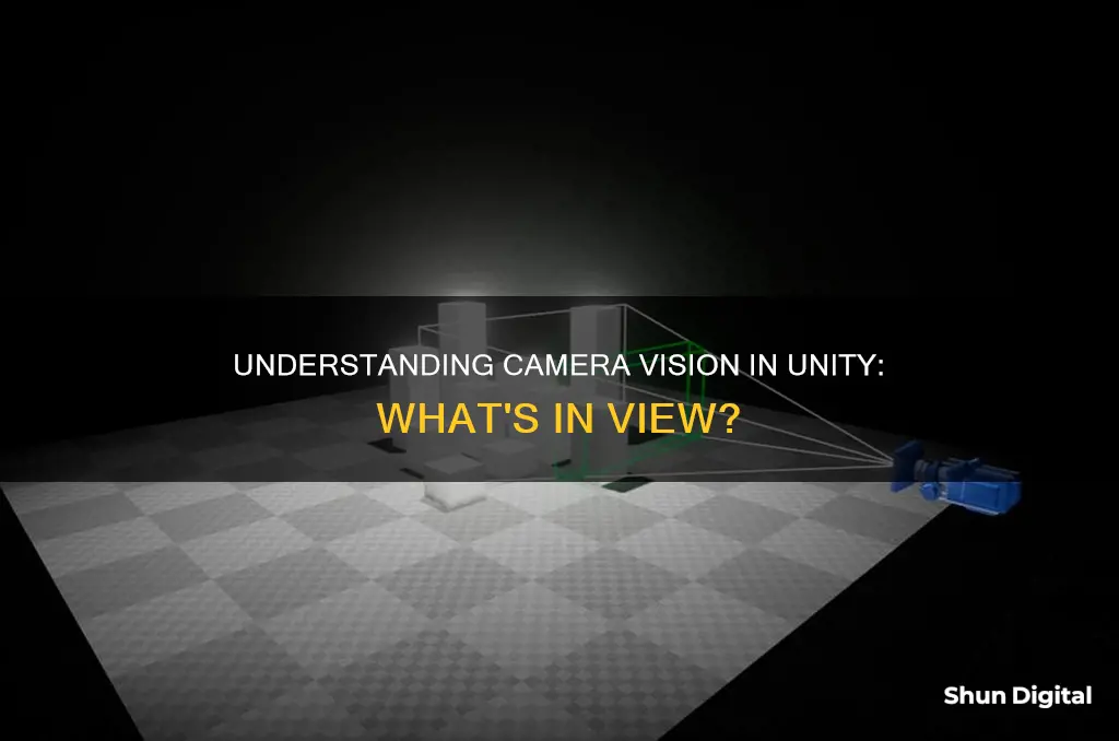 how to know what camera see unity