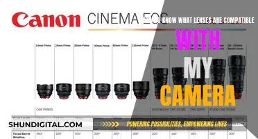 Lens Compatibility: Matching Lenses to Your Camera